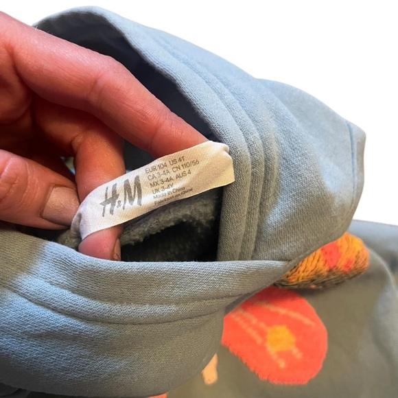 Girls 4T Clothing Bundle Old Navy, H&M, Pekkle Tops Hoodie Butterfly Fruit - Picture 6 of 12